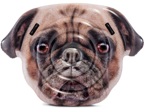 Picture of ISLAND - PUG FACE